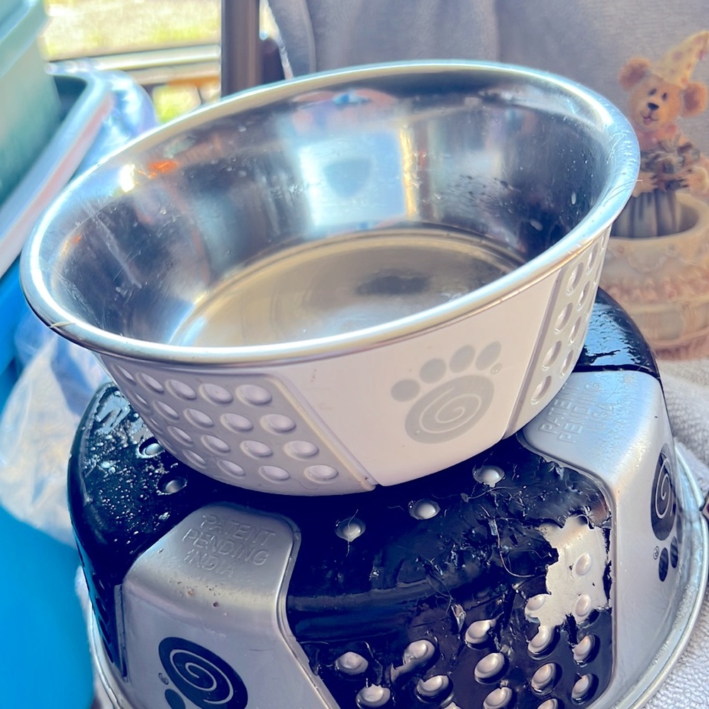 Pet pans - Picture 3 of 7